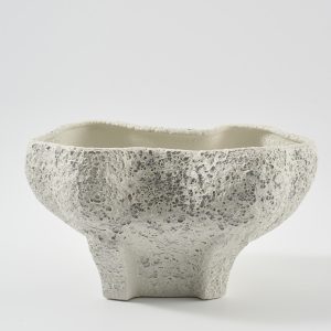 Conch bowl Salt Crust
