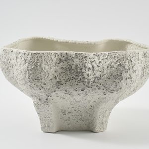 Conch bowl Salt Crust